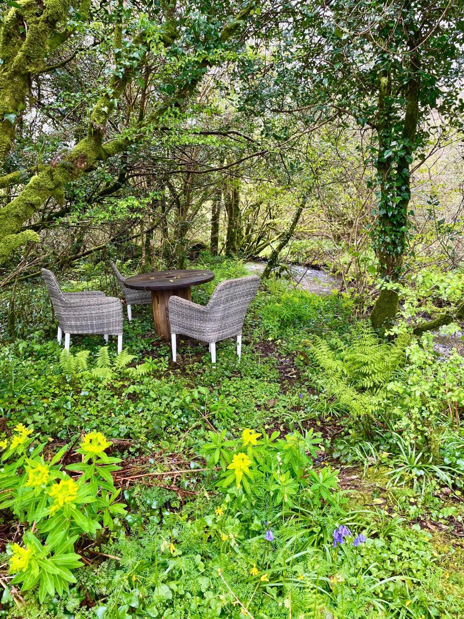 Stepping Stones Glamping Little Red Hotel Bantry Ngoại thất bức ảnh
